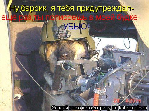 Котоматрица: Ну барсик, я тебя придупреждал- ещё раз,ты пописоешь в моей будке- УБЬЮ!