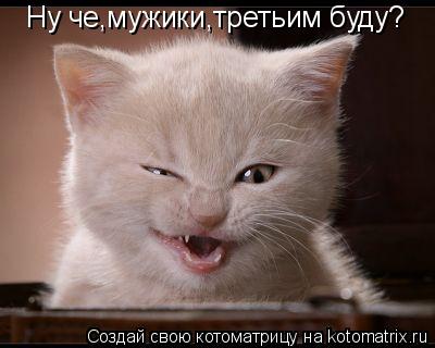 Котоматрица: Ну че,мужики,третьим буду?