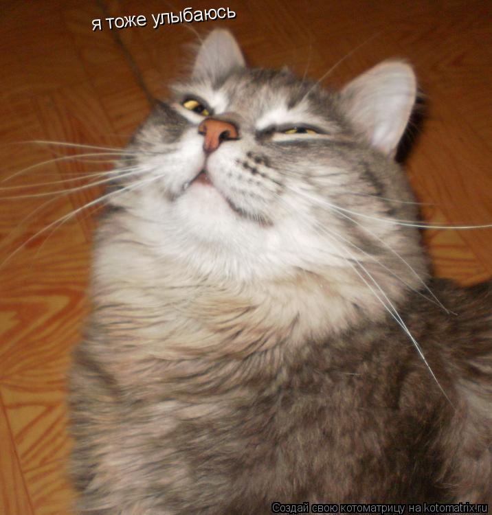 Котоматрица: я тоже улыбаюсь