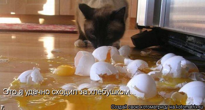 Котоматрица: Это я удачно сходил за хлебушком...