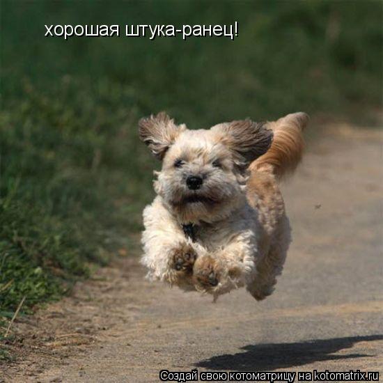 Котоматрица: хорошая штука-ранец!