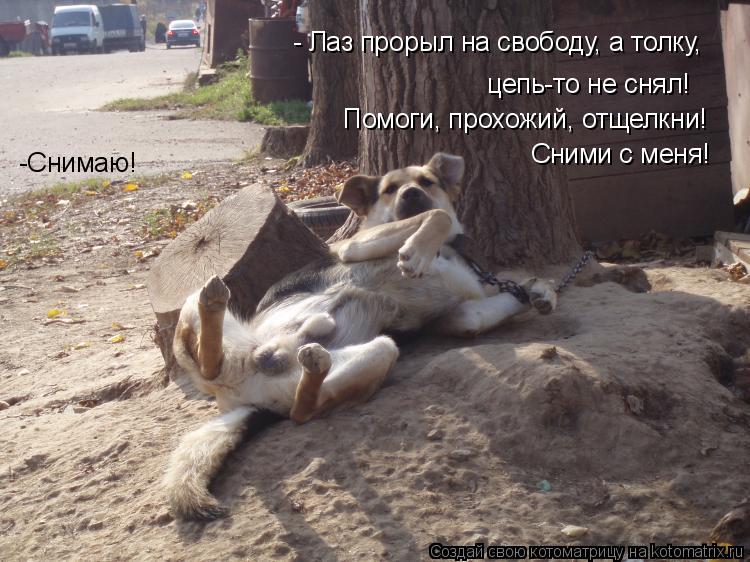 цепь-то не снял! - Лаз прорыл на свободу, а толку, Помоги, прохожий, отщелкни! Сними с меня! -Снимаю... Котоматрица: цепь-то не снял! - Лаз прорыл на свободу, а толку, Помоги, прохожий, отщелкни! Сними с меня! -Снимаю!