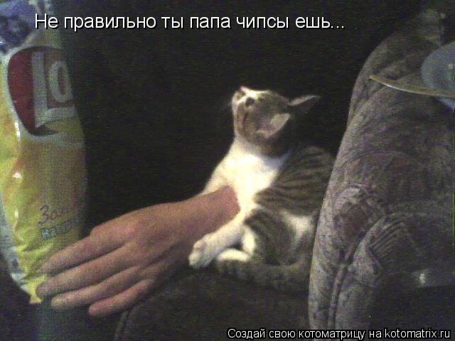Котоматрица: Не правильно ты папа чипсы ешь...