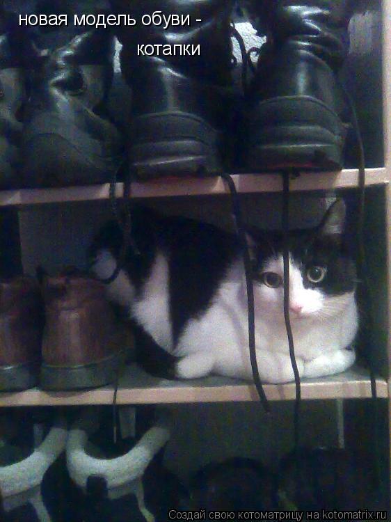 Котоматрица: новая модель обуви -  котапки