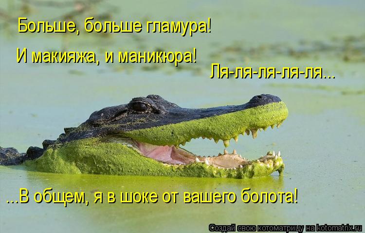 Котоматрица: Больше, больше гламура! И макияжа, и маникюра! Ля-ля-ля-ля-ля... ...В общем, я в шоке от вашего болота!