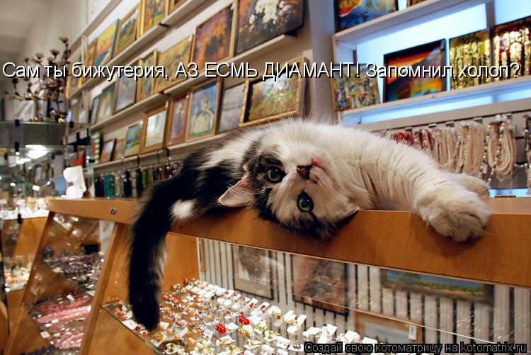 Котоматрица: Сам ты бижутерия, АЗ ЕСМЬ ДИАМАНТ! Запомнил,холоп?