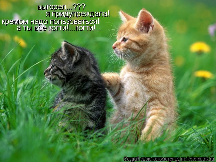 Котоматрица: выгорел...??? я придупреждала! кремом надо пользоваться! а ты всё когти!...когти!...