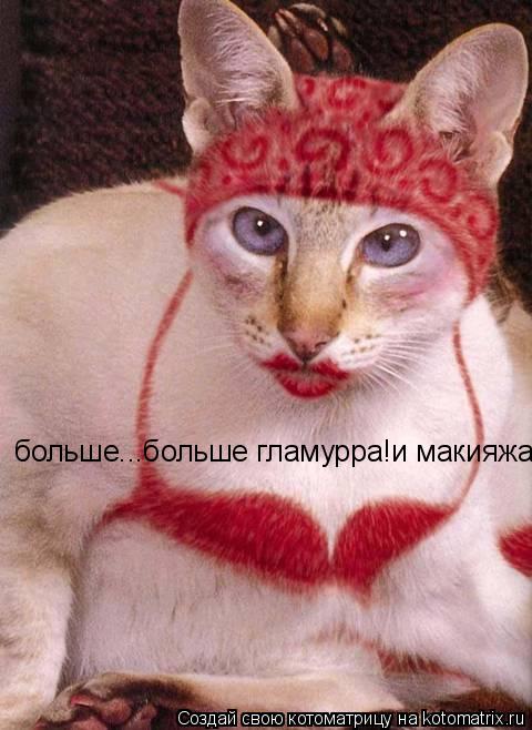 Котоматрица: больше...больше гламурра!и макияжа и педикюра! больше...больше гламурра!и макияжа и педикюра! больше...больше гламурра!и макияжа и педикюра! б