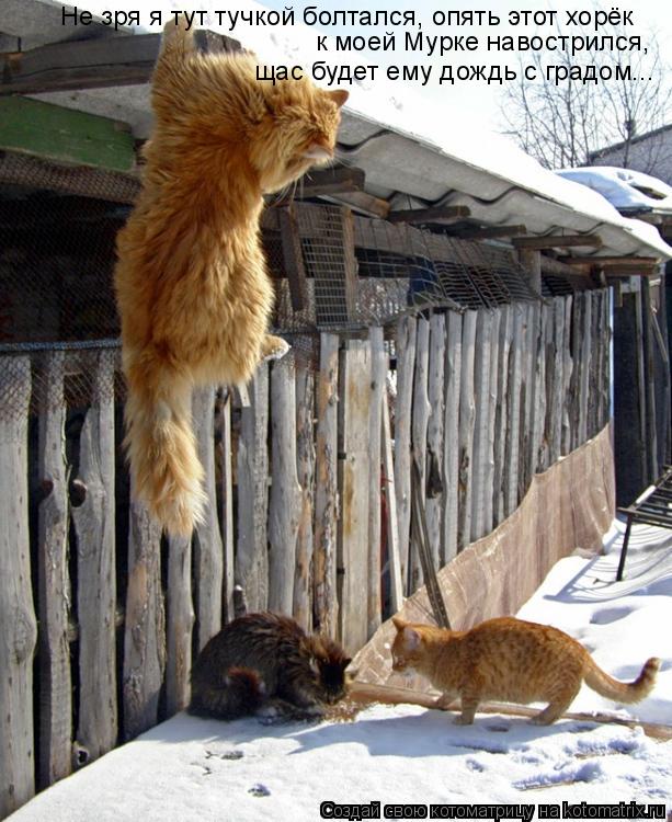 Котоматрица: Не зря я тут тучкой болтался, опять этот хорёк  к моей Мурке навострился,  щас будет ему дождь с градом...