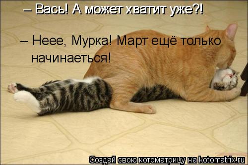 Котоматрица: Вот что происходит с котами в марте! -- Вась! А может хватит уже?! -- Вась! А может хватит уже?! -- Неее, Мурка! Март ещё только  начинаеться!