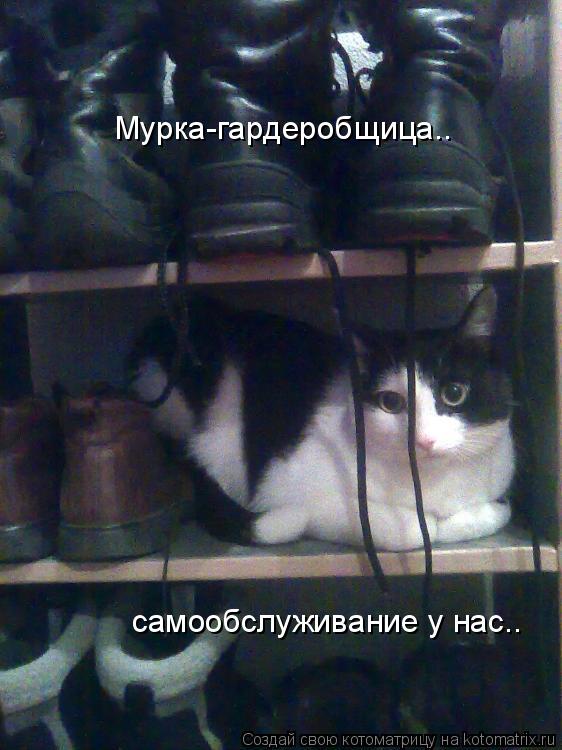 Котоматрица: Мурка-гардеробщица.. самообслуживание у нас..