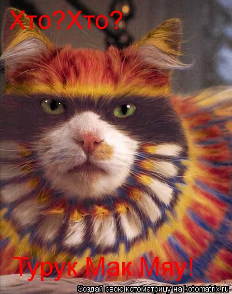 Котоматрица: Хто?Хто? Турук Мак Мяу!