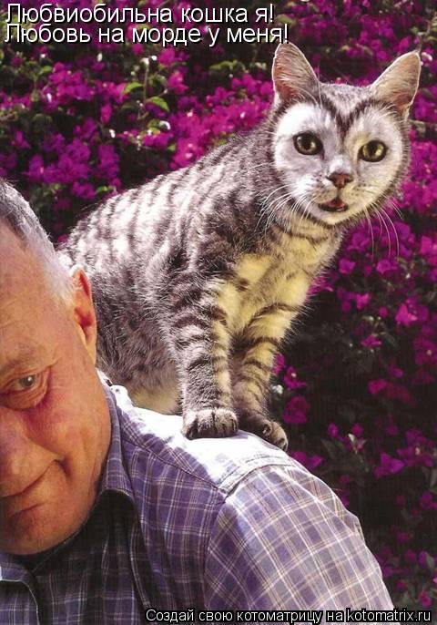 Котоматрица: Любвиобильна кошка я! Любовь на морде у меня!