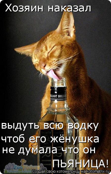 Котоматрица: Хозяин наказал выдуть всю водку  чтоб его жёнушка не думала что он ПЬЯНИЦА!