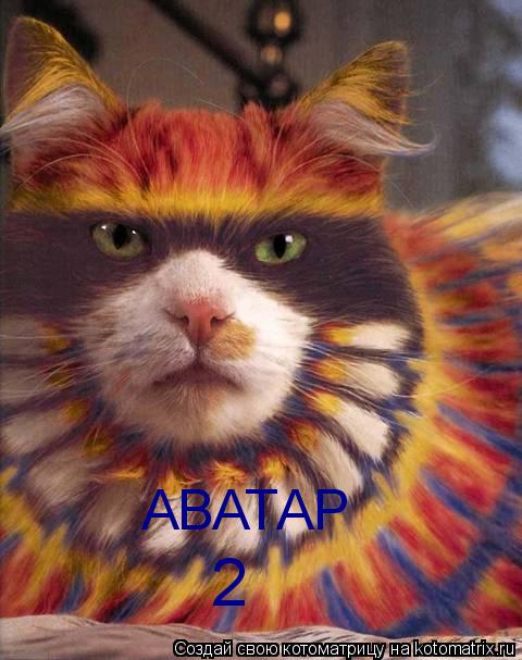 Котоматрица: АВАТАР 2