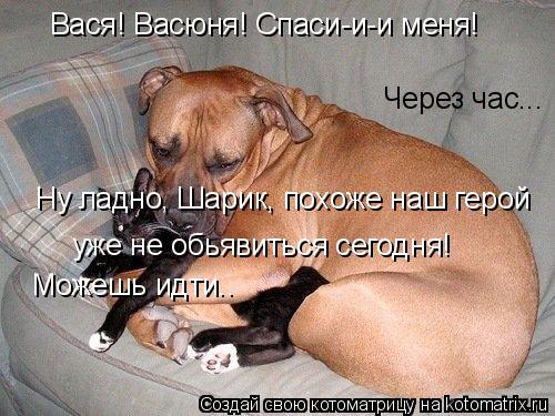 Котоматрица: Вася! Васюня! Спаси-и-и меня! Через час... уже не обьявиться сегодня! Ну ладно, Шарик, похоже наш герой  Можешь идти..