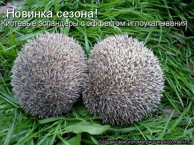 Котоматрица: Новинка сезона! Кистевые эспандеры с эффектом иглоукалывания