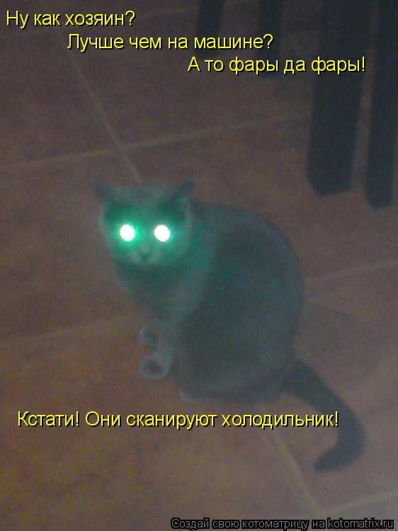 Котоматрица: Ну как хозяин? Лучше чем на машине? А то фары да фары! Кстати! Они сканируют холодильник!