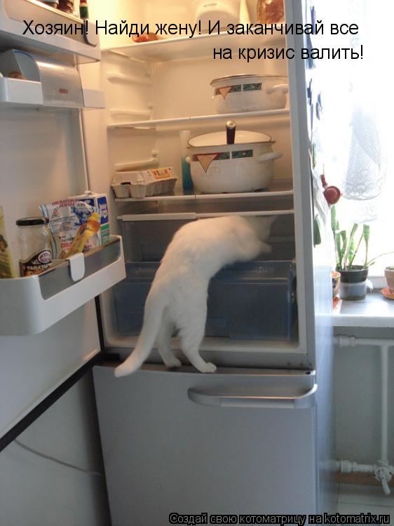 Хозяин! Найди жену! И заканчивай все на кризис валить!... Котоматрица: Хозяин! Найди жену! И заканчивай все на кризис валить!