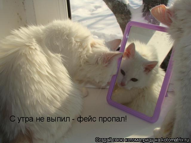 Котоматрица: С утра не выпил - фейс пропал!