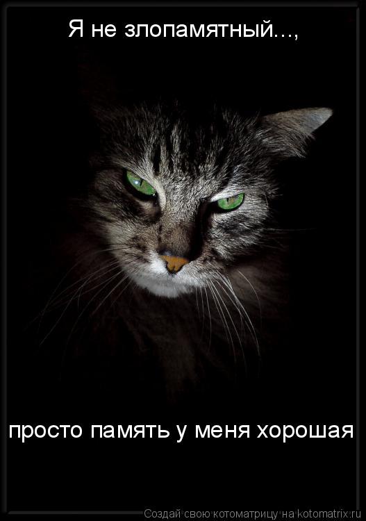 Котоматрица: Я не злопамятный...,  просто память у меня хорошая