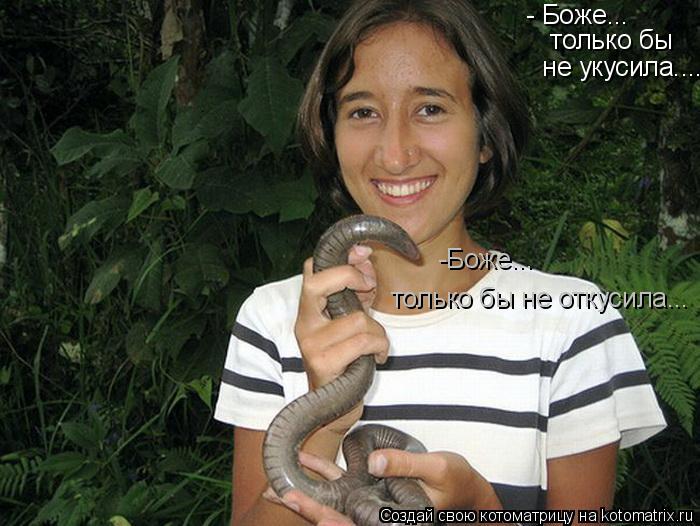 Котоматрица: - Боже...  только бы  не укусила.... -Боже... только бы не откусила...