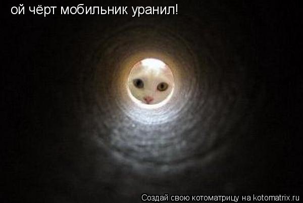 Котоматрица: ой чёрт мобильник уранил!
