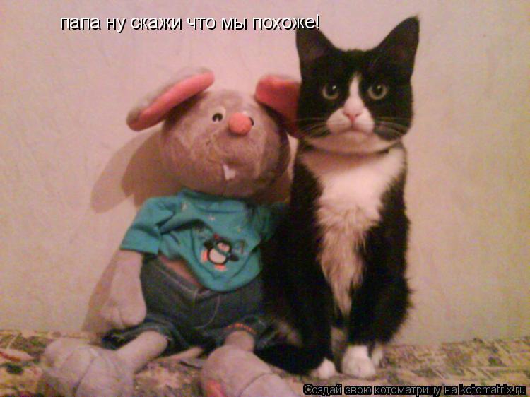 Котоматрица: папа ну скажи что мы похоже!