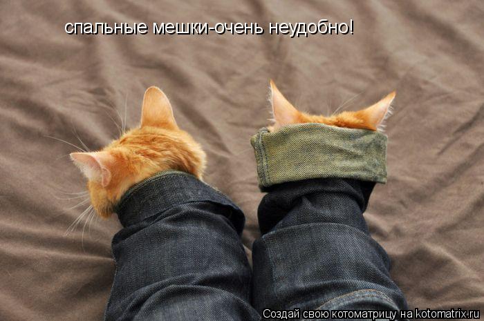 Котоматрица: спальные мешки-очень неудобно!