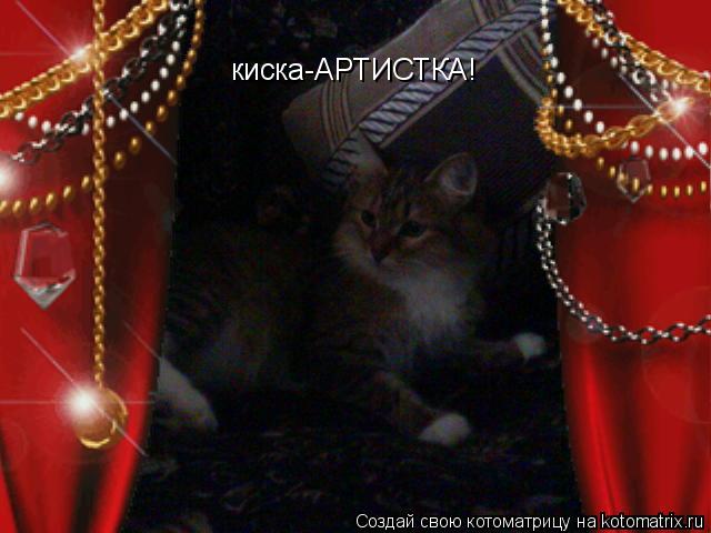 Котоматрица: киска-АРТИСТКА!