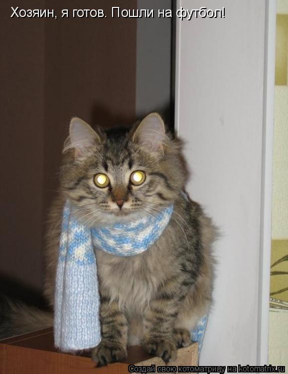 Котоматрица: Хозяин, я готов. Пошли на футбол!