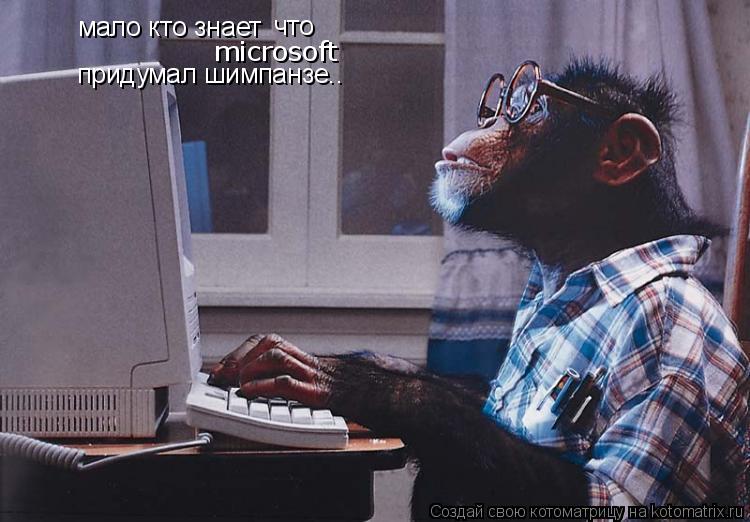 Котоматрица: мало кто знает что microsoft придумал шимпанзе..