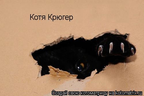 Котоматрица: Котя Крюгер