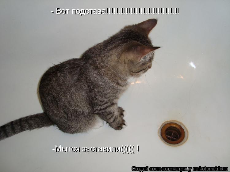 Котоматрица: - Вот подстава!!!!!!!!!!!!!!!!!!!!!!!!!!!!!! -Мытся заставили((((( !