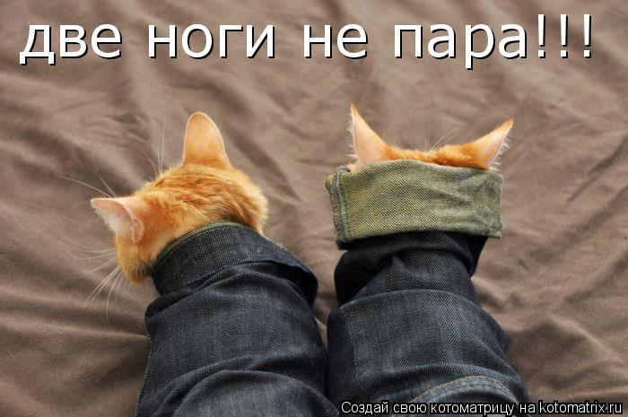 Котоматрица: две ноги не пара!!!