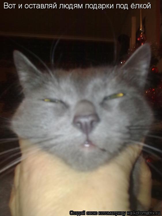 Котоматрица: Вот и оставляй людям подарки под ёлкой