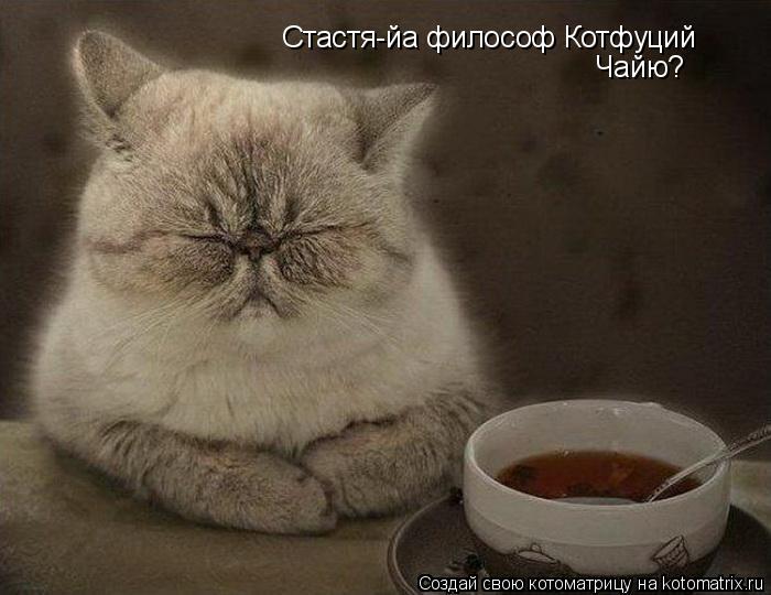 Котоматрица: Стастя-йа философ Котфуций Чяйю Чайю?