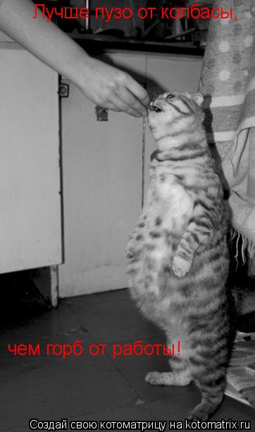 Котоматрица: Лучше пузо от колбасы,  чем горб от работы!