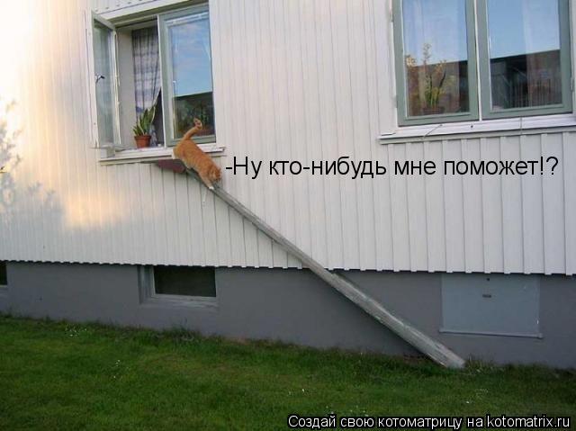 Котоматрица: -Ну кто-нибудь мне поможет!?