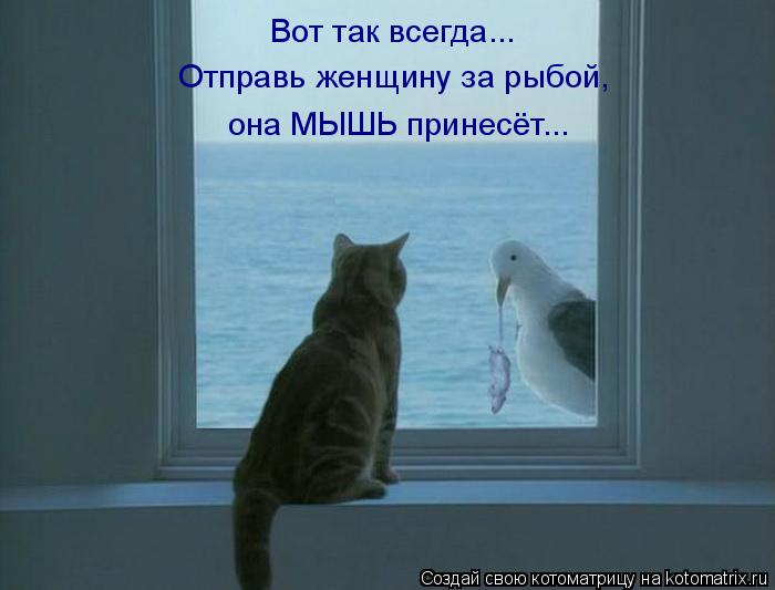 Котоматрица: Вот так всегда... Отправь женщину за рыбой, она МЫШЬ принесёт...