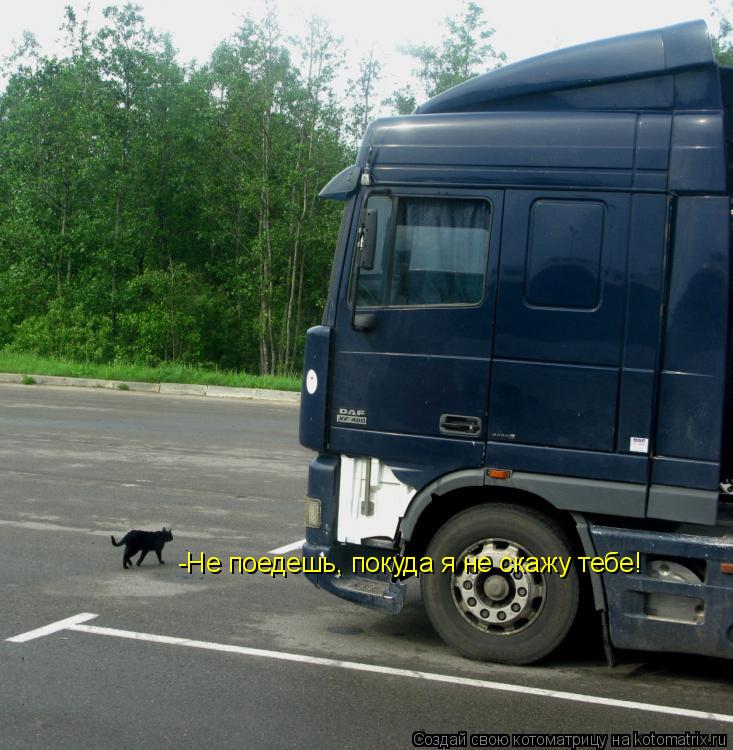 Котоматрица: -Не поедешь, покуда я не скажу тебе!