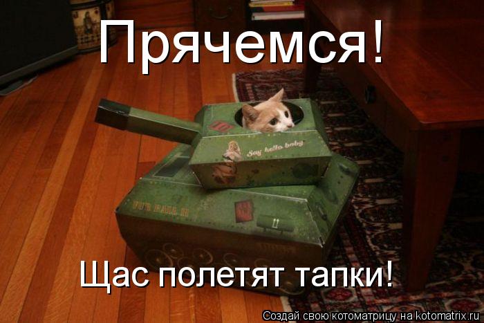 Котоматрица: Прячемся! Щас полетят тапки!