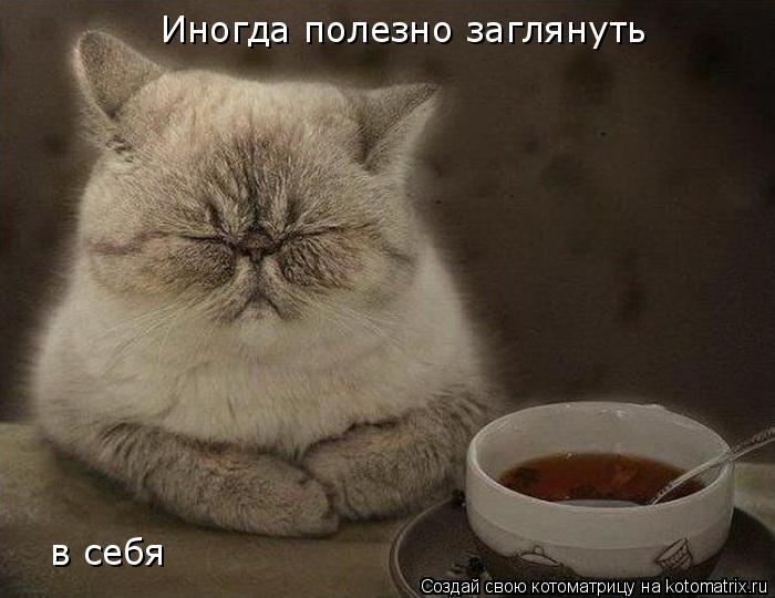 Котоматрица: Иногда полезно заглянуть в себя