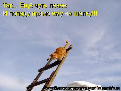 Так... Ещё чуть левее, И попаду прямо ему на шапку!!!... Котоматрица: Так... Ещё чуть левее, И попаду прямо ему на шапку!!!