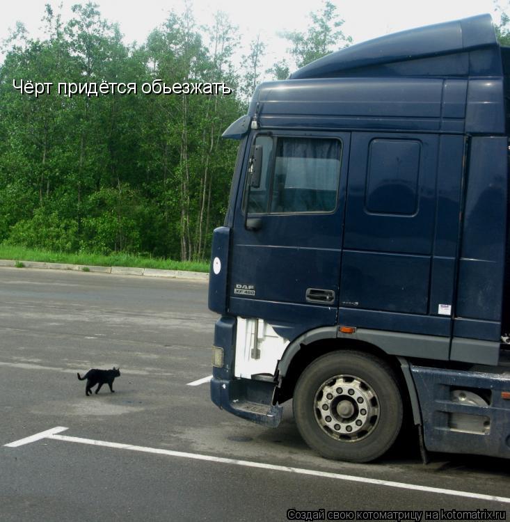 Котоматрица: Чёрт придётся обьезжать