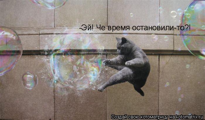 Котоматрица: -Эй! Че время остановили-то?!