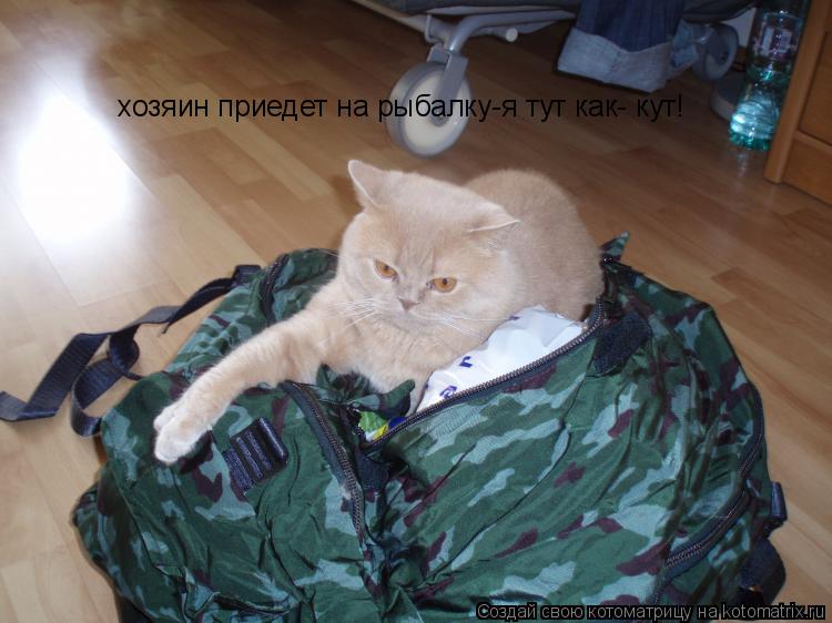 Котоматрица: хозяин приедет на рыбалку-я тут как- кут!
