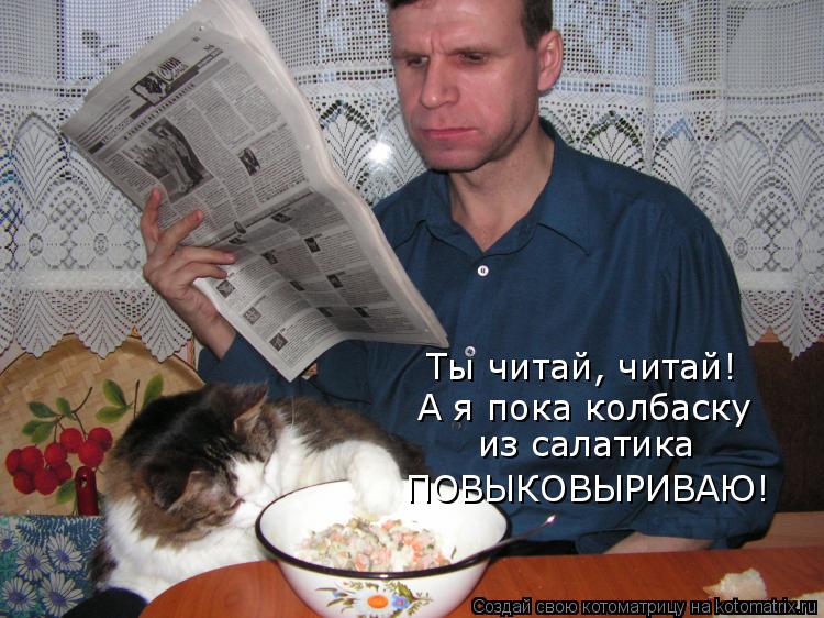 Котоматрица: Ты читай, читай! А я пока колбаску  из салатика ПОВЫКОВЫРИВАЮ!