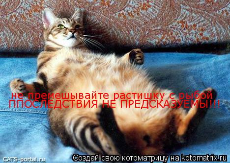 Котоматрица: не премешывайте растишку с рыбой !ППОСЛЕДСТВИЯ НЕ ПРЕДСКАЗУЕМЫ!!! не премешывайте растишку с рыбой  не премешывайте растишку с рыбой  ППОСЛ