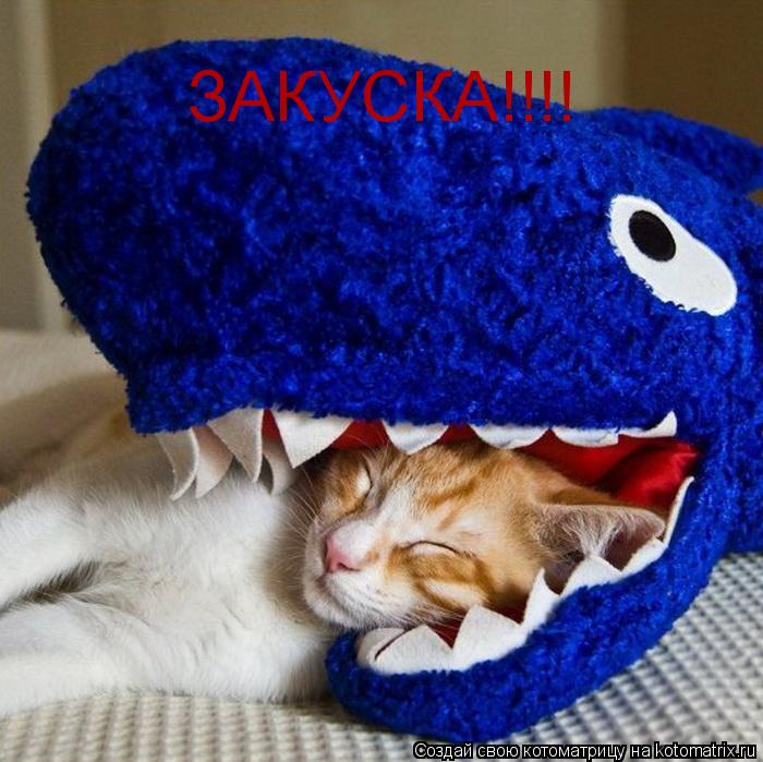 ЗАКУСКА!!!!... Котоматрица: ЗАКУСКА!!!!